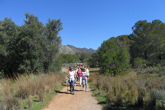 Ruta de senderismo por el paraje del Desert de Les Palmes el domingo 14 de enero