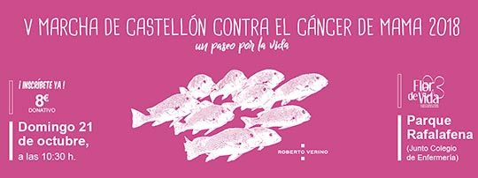 V Marcha solidaria contra el cáncer de mama en Castellón V Marcha solidaria contra el cáncer de mama en Castellón
