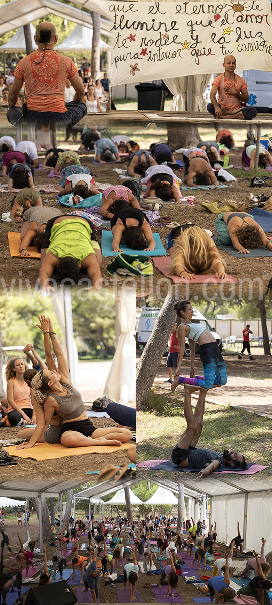 Yoga, festival de verano