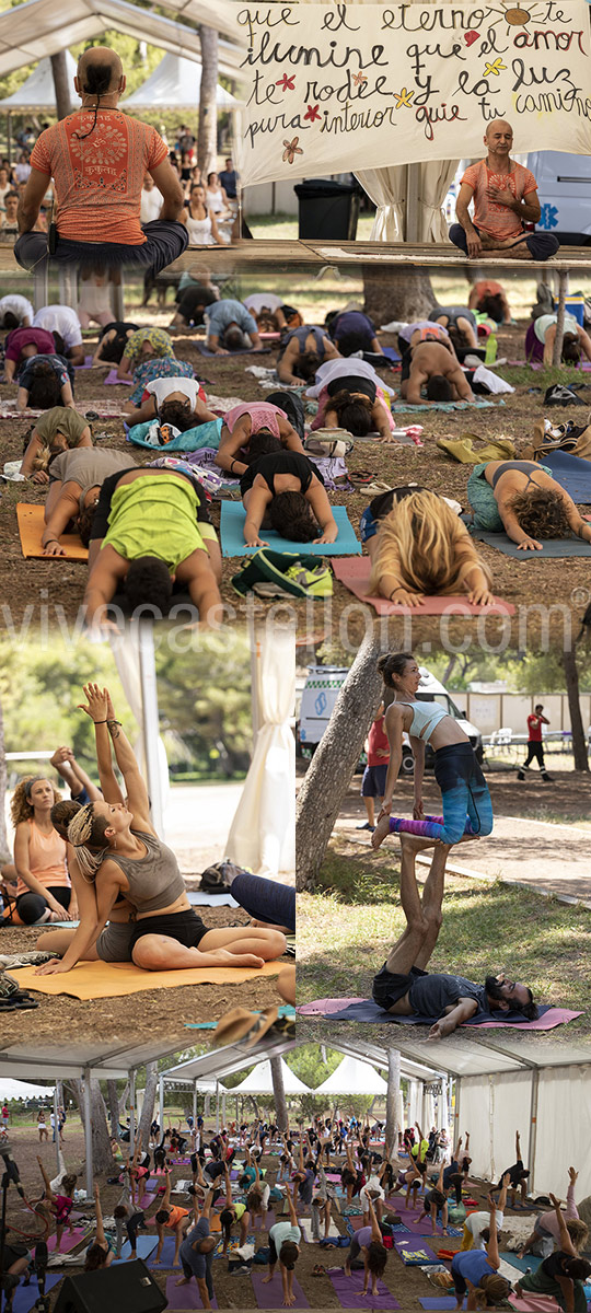 Yoga, festival de verano Yoga, festival de verano