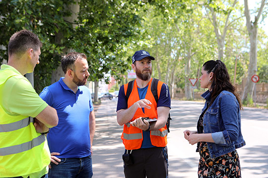 Una asesoría técnica garantizará el cuidado de los árboles monumentales en las obras de Enrique Gimeno