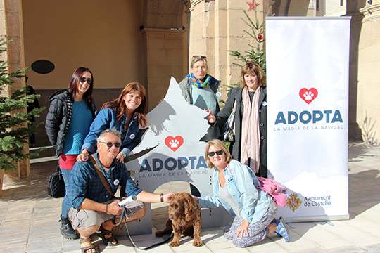 El Ayuntamiento de Castellón gana el primer premio por un video en favor de la adopción de mascotas