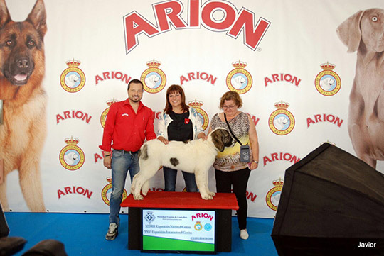 Campeonato de Belleza Canina que se celebrará este fin de semana en el recinto de ferias y mercados de Castellón