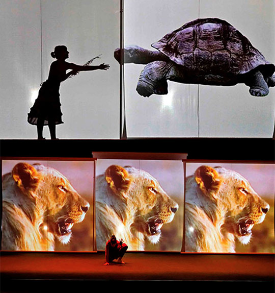 El Carnaval de los animales, el domingo en el Auditorio de Castellón