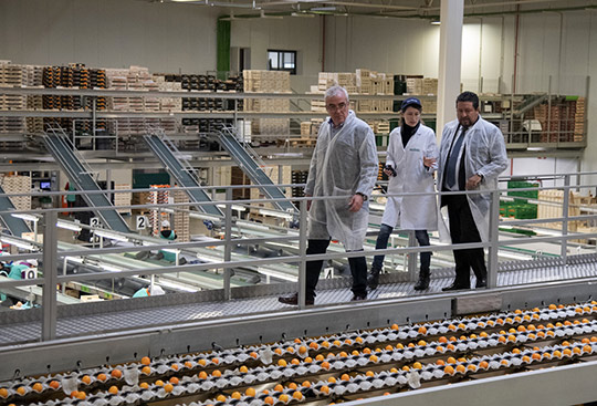 La Diputación de Castellón apoya al sector citrícola de la provincia La Diputación de Castellón apoya al sector citrícola de la provincia
