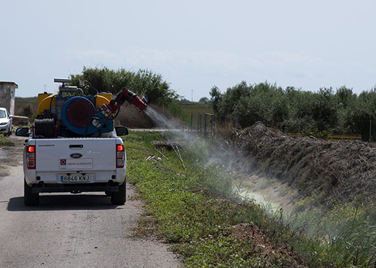 El Plan Provincial Antimosquitos de la Diputación está funcionando satisfactoriamente a pesar de las lluvias de los últimos días