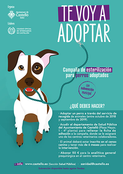 Castelló subvenciona la esterilización de perros adoptados en el servicio municipal de recogida 