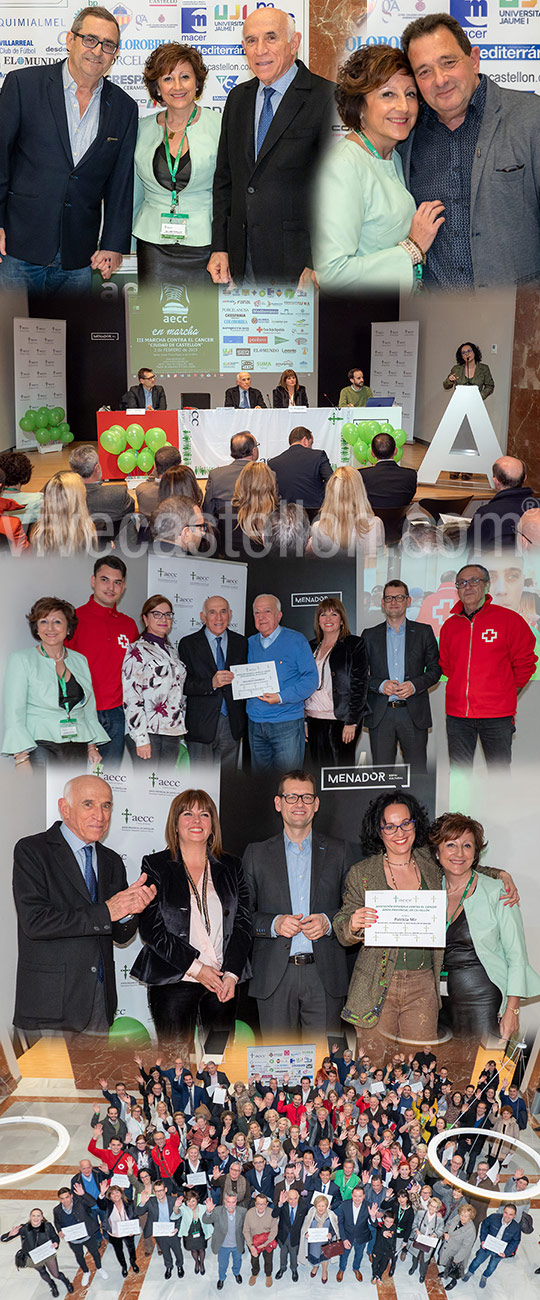 La AECC reconoce la labor de apoyo de vivecastellon.com La AECC reconoce la labor de apoyo de vivecastellon.com