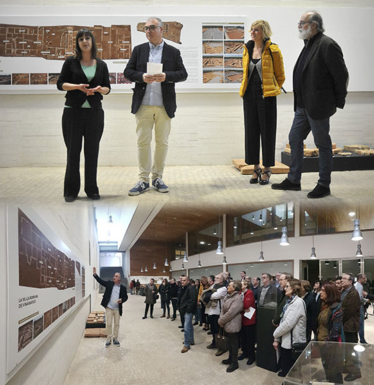 La villa romana de Vinamargo se traslada al Museu de Belles Arts de Castelló