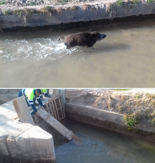 Castellón, 2019 Castellón, 2019