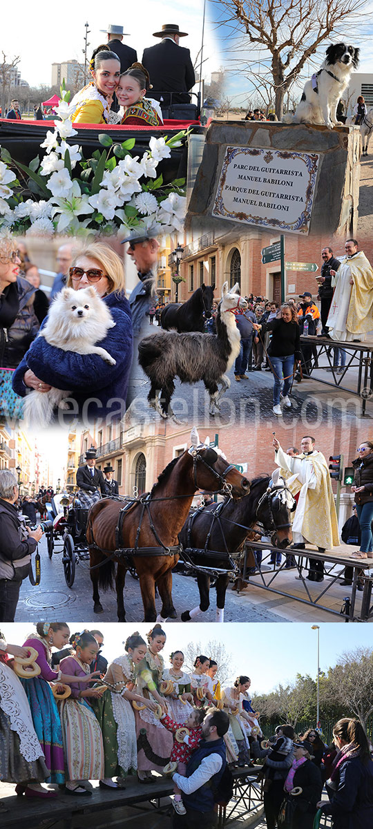 Festividad de San Antonio en Castellón