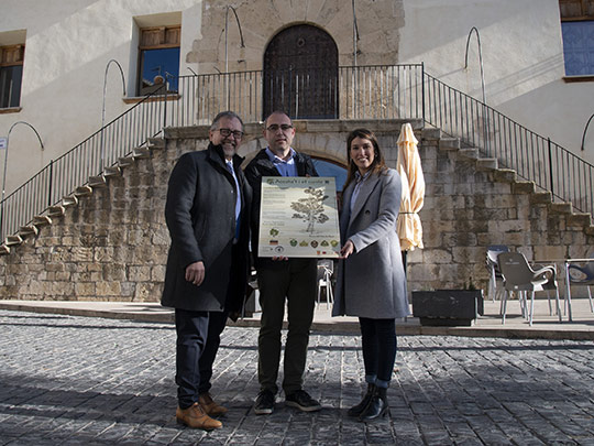 La Diputación dobla el presupuesto para la conservación de árboles monumentales y lo eleva hasta los 40.000 euros