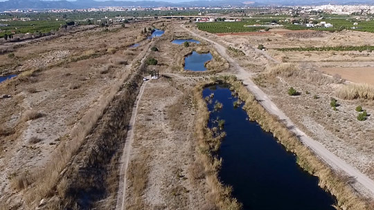  "Volando por el Mijares", es el título de la cuarta entrega audiovisual sobre el Paisaje Protegido de la Desembocadura del río Mijares