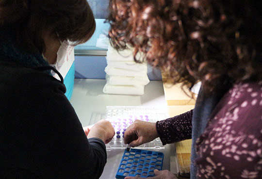 Alrededor de 700 personas han recibido en la Comunitat Valenciana este domingo la primera dosis de la vacuna contra el coronavirus durante una jornada que ha transcurrido con normalidad