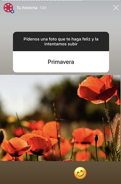 La Diputación lanza una campaña fotográfica en Instagram para animar a la población y hacer más llevadero su confinamiento La Diputación lanza una campaña fotográfica en Instagram para animar a la población y hacer más llevadero su confinamiento