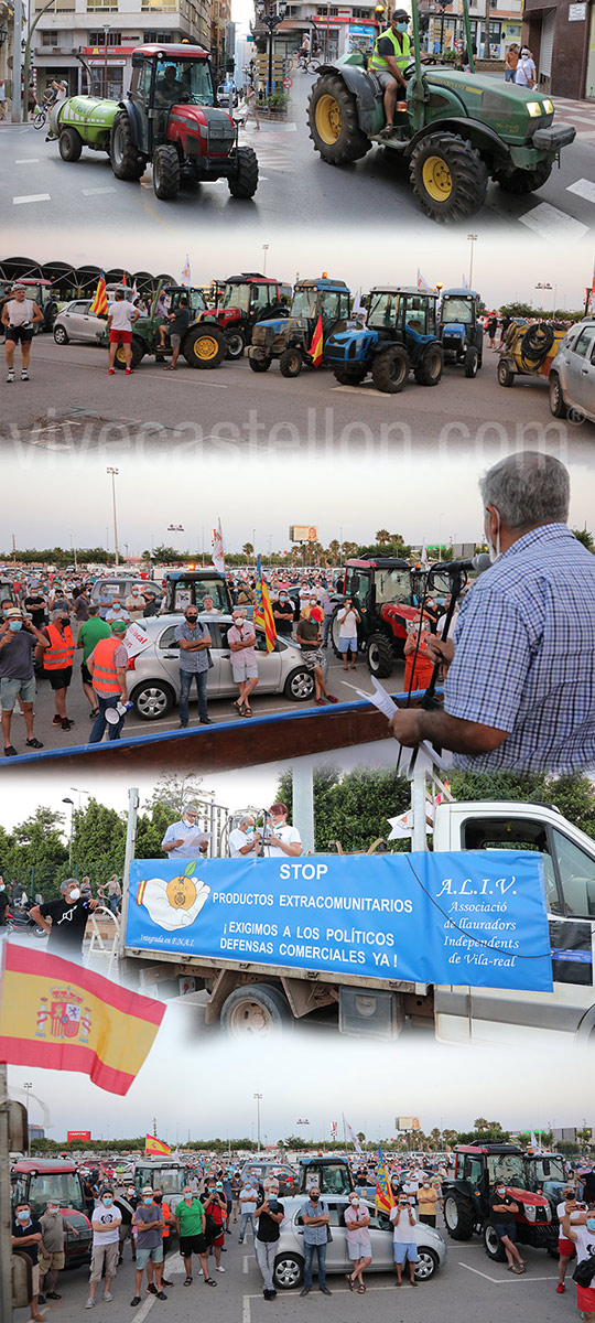 Manifestación para alertar sobre los daños que la plaga de cotonet de Sudáfrica está causando en los cítricos