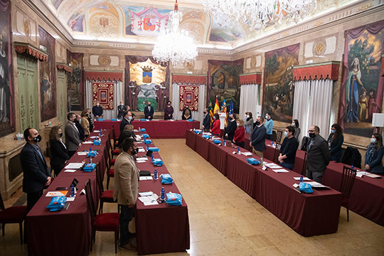 El pleno de la Diputación guarda un minuto de silencio en señal de respeto y recuerdo a las 367 personas fallecidas por la Covid en la provincia de Castellón