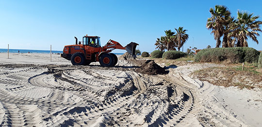 Castelló impulsa la limpieza de playas con una gestión más ecológica reutilizando las algas para regenerar las dunas del Parque Litoral