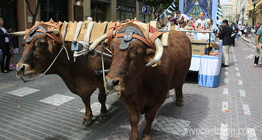 Pregonet, anuncio de las Fiestas de la Mare de Déu del Lledó de Castelló