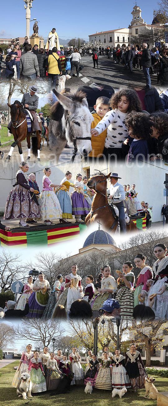 Castelló celebra la tradicional festividad de San Antonio 
