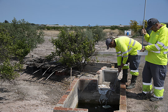 La Diputación intensifica los tratamientos contra el mosquito tigre en la provincia de Castellón