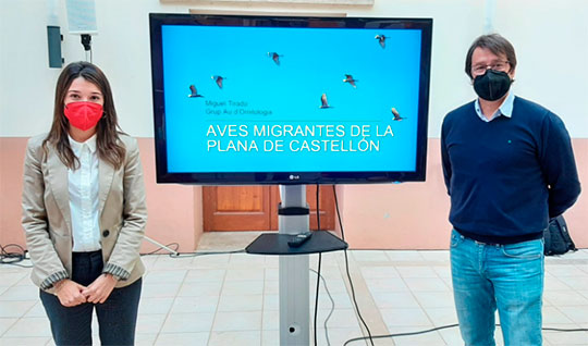 vivecastellon.com
