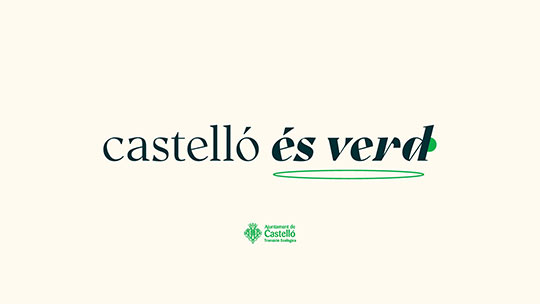 vivecastellon.com