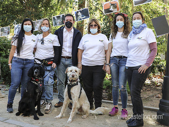 Sensibilidad y solidaridad con el VI Festival de la Adopción en Castelló Sensibilidad y solidaridad con el VI Festival de la Adopción en Castelló