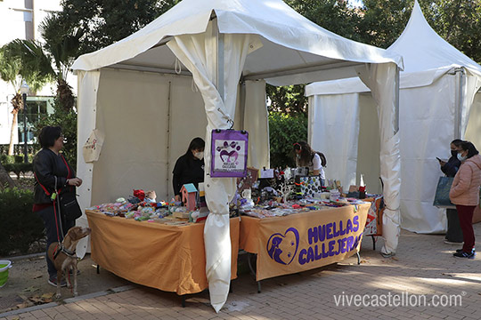 Sensibilidad y solidaridad en el VI Festival de la Adopción de Castelló