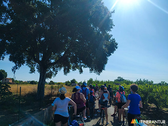 Castelló organiza una ruta ciclista en la Marjaleria para realzar su riqueza ambiental y su importancia ecosistémica