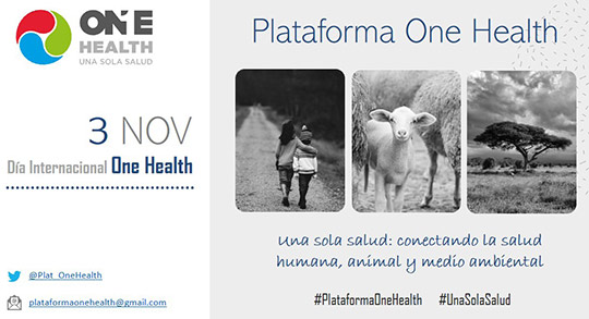 La UJI se une a la nueva plataforma One Health para promover un enfoque integral de la salud La UJI se une a la nueva plataforma One Health para promover un enfoque integral de la salud
