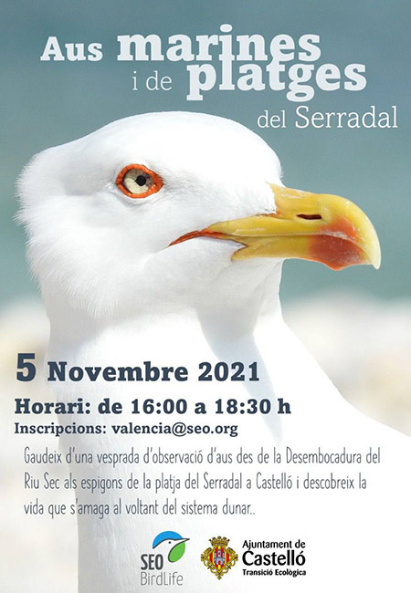 Nuevas actividades de observación de aves y voluntariado para mejorar la biodiversidad del litoral castellonense