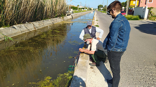 Castelló impulsa un estudio e inventario sobre la biodiversidad de la Marjaleria para avanzar en su recuperación  paisajística