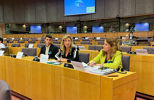 Marco defiende el proyecto de mejora de la avenida Lidón en el Parlamento Europeo