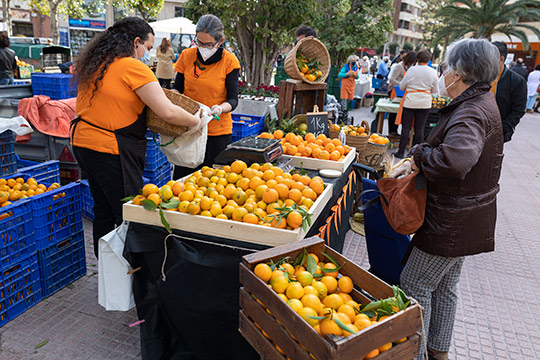 Castelló abre el plazo para participar en la Fira de la Taronja 2022-2023
