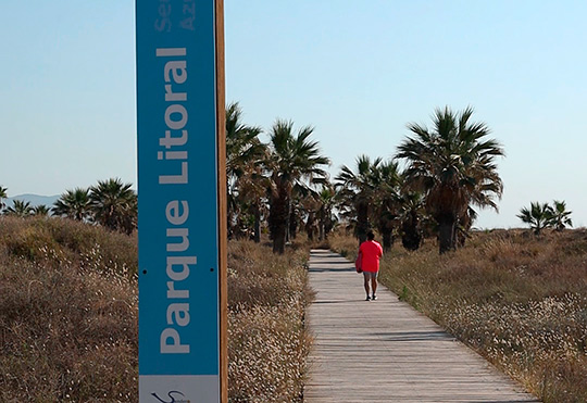 Castelló destinará más de 340.000 euros al mantenimiento del parque litoral y el paseo marítimo