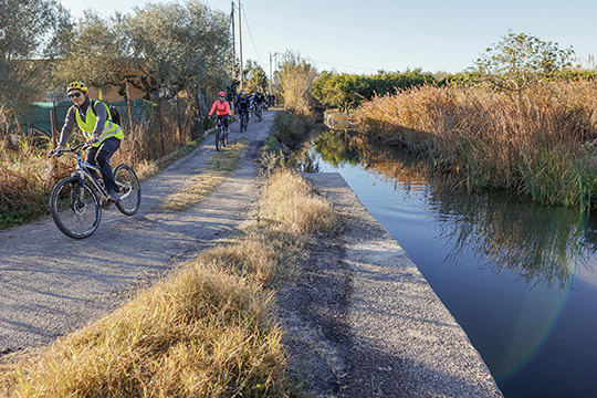 Castelló proyectará los valores naturales de la Marjaleria en una ruta ciclista y un anillamiento por el Dia Mundial del Medio Ambiente