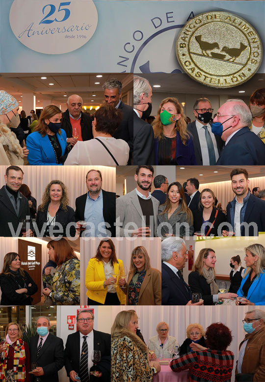vivecastellon.com