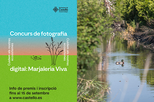 Castelló promueve el concurso de fotografía Marjaleria Viva con cinco premios para mostrar la riqueza ambiental de la zona