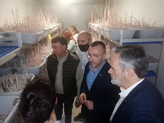 La Diputación respalda a las cooperativas cítricas en su lucha contra el cotonet elevando a 100.000 euros su línea de ayudas, el doble que en el ejercicio anterior