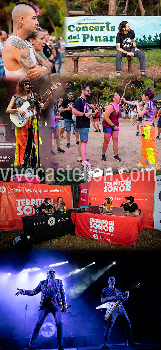 Tercera edición del festival de punk-rock, Concerts del Pinar Tercera edición del festival de punk-rock, Concerts del Pinar
