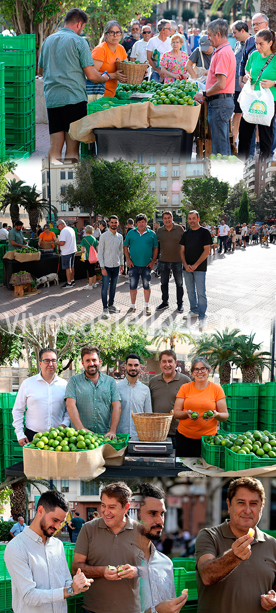 El Mercat de la Taronja deja buenas sensaciones en el primer domingo de actividad