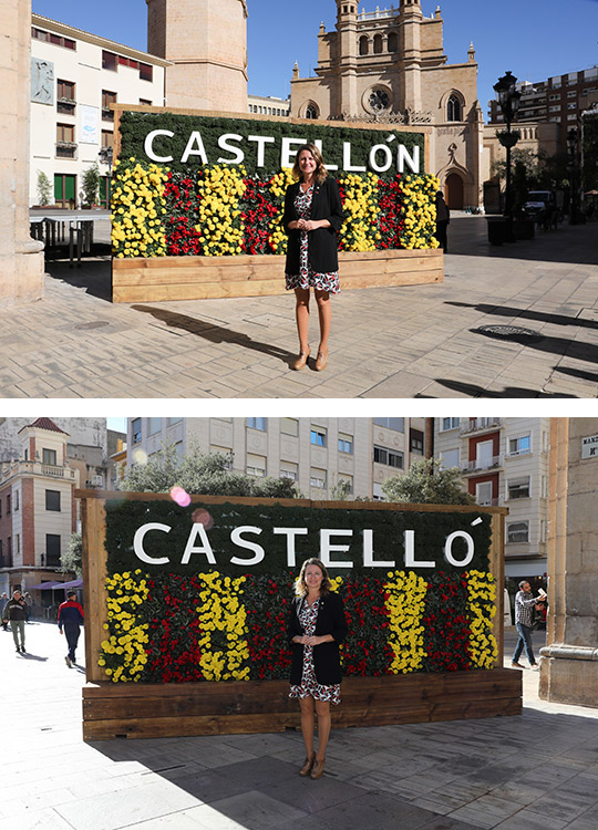 vivecastellon