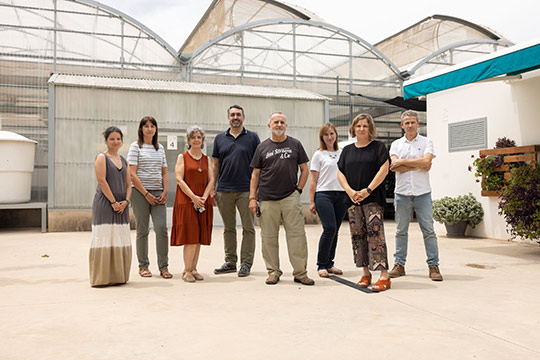 Cuatro estudios de la UJI trabajan para mejorar la resistencia de las plantas y el uso de aguas residuales sin contaminantes para la agricultura