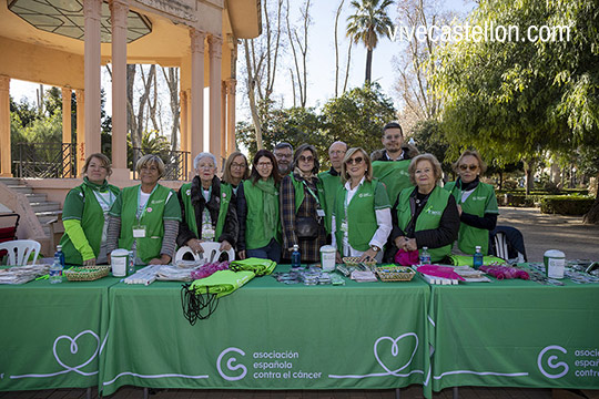 VII Marcha contra el cáncer en Castelló VII Marcha contra el cáncer en Castelló