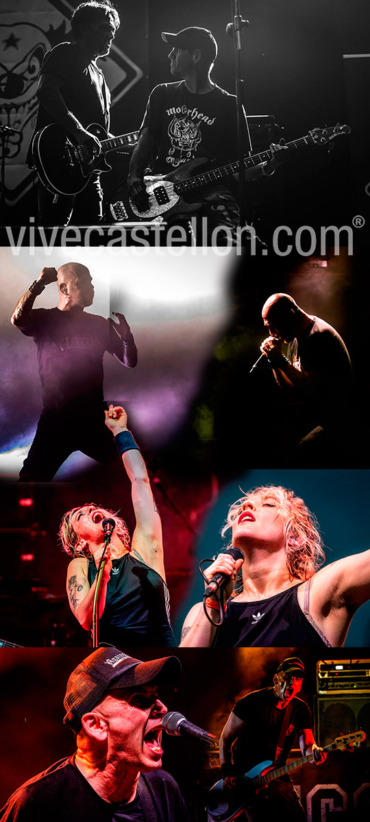 El festival de rock y punk Concerts del Pinar se consolida en su tercera edición