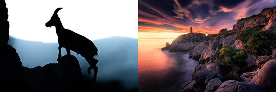La Diputación de Castellón impulsa la segunda edición del concurso de fotografía ‘¡Naturalízate!’