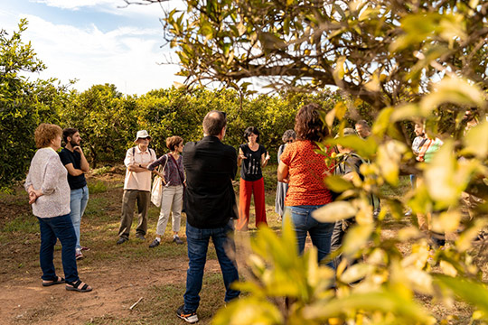 Castelló acogerá el sábado el Mercat de la Terra con productos de proximidad y ecológicos