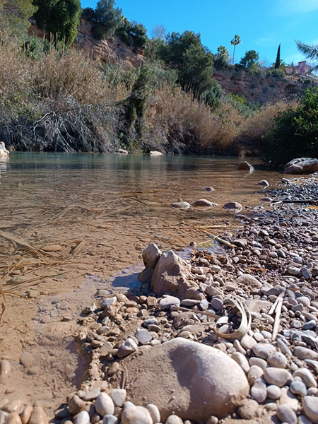 Paseo interpretativo y limpieza de la Desembocadura del Millares a cargo de Itinerantur