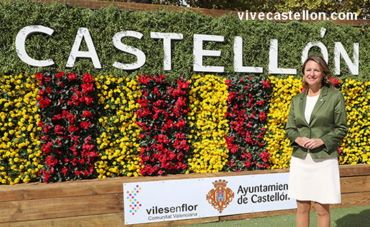 vivecastellon